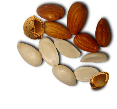 Almendras Peladas